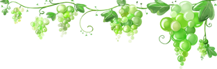 Логотип Виноград